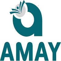 Amay Career Institute