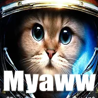Amazing Cute Cat Wallpaper