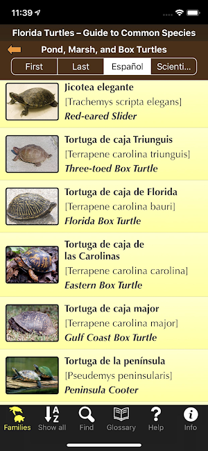 Florida Turtles Screenshot 3