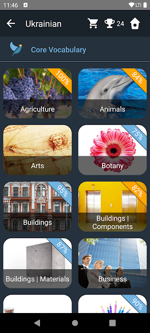 Ukrainian Language Tests Screenshot 1