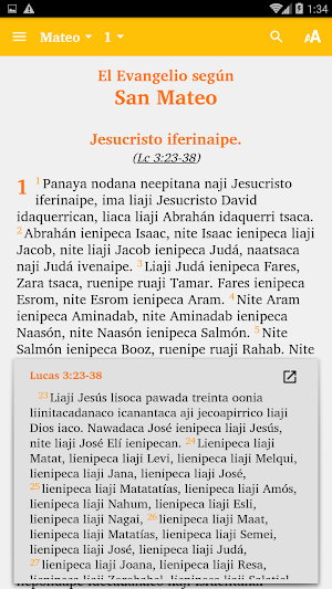 Curripaco - Bible Screenshot 1