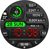 Digital DARGUN WS21 Watch face