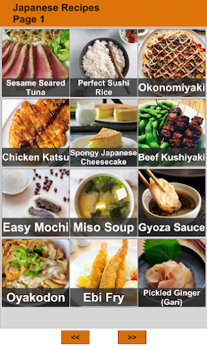 Japanese Recipes Screenshot 0