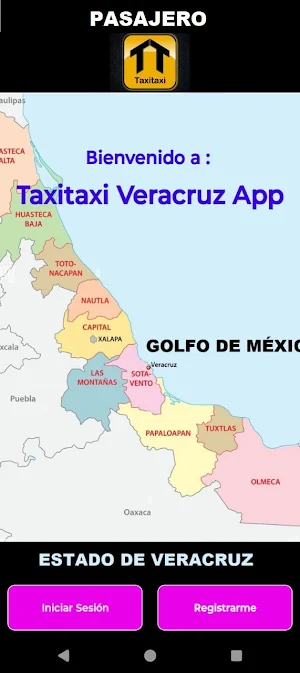Taxitaxi Veracruz Screenshot 0