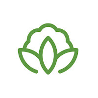 Mandi