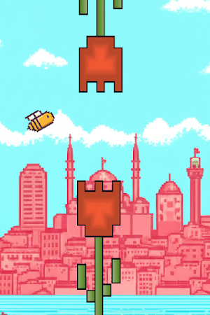 flapistan Screenshot 3