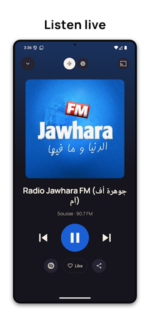 Tunisian Radio – Live FM Screenshot 1