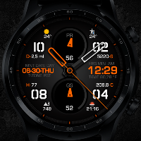 ENDURANCE M24 Watch Face