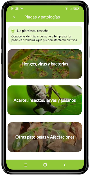 Hidroponia - Kultiva App Screenshot 2