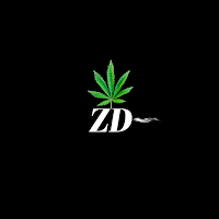 ZaaDash!