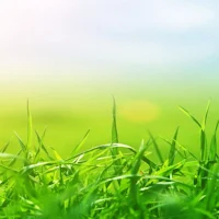 قصص عن الرسول-Prophet Mohammad