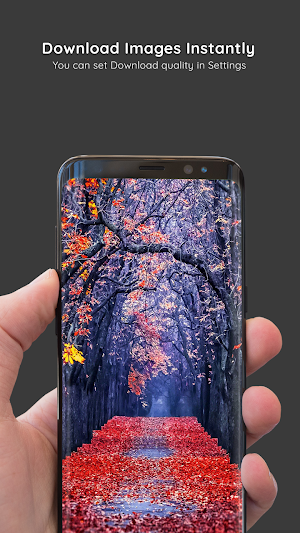 Autumn Wallpapers 8K ULTRA Screenshot 2