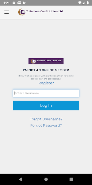 Tullamore Credit Union Ltd Screenshot 2