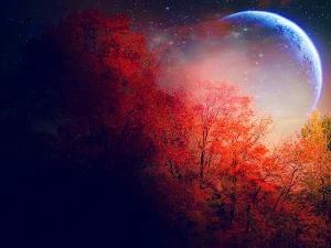 Full Moon Wallpapers Screenshot 3