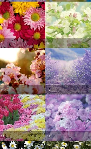 Pastel Floral Wallpaper Screenshot 2