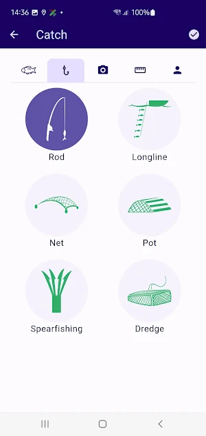 Mainland Catch Screenshot 3