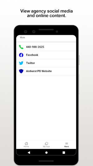 Amherst PD Screenshot 2