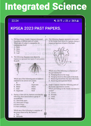 KPSEA 2023: Past papers. Screenshot 2