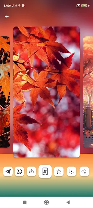 Autumn Wallpapers HD Screenshot 1