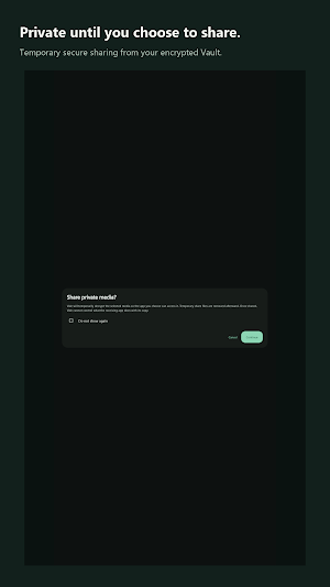 Vale Screenshot 2