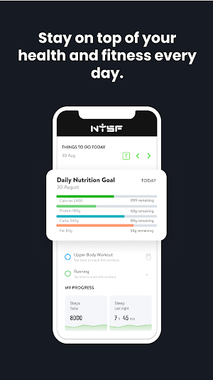 NYSF Screenshot 1