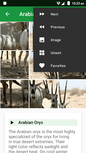 Wild Animals Puzzle Screenshot 3