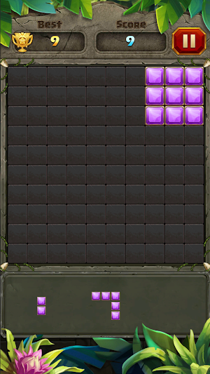 Block Puzzle - Brain Tease Screenshot 2