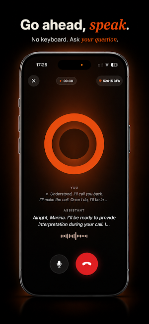 Déblo Realtime Voice & Eyes AI Screenshot 2