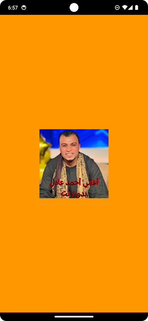 أغاني أحمد عادل بدون نت Screenshot 0
