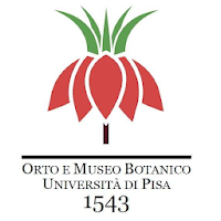 Orto e Museo Botanico di Pisa