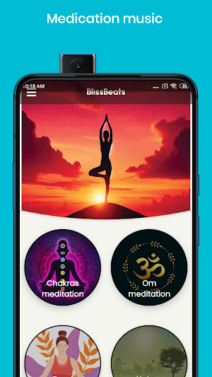BlissBeats Screenshot 0