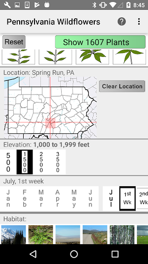 Pennsylvania Wildflowers Screenshot 1
