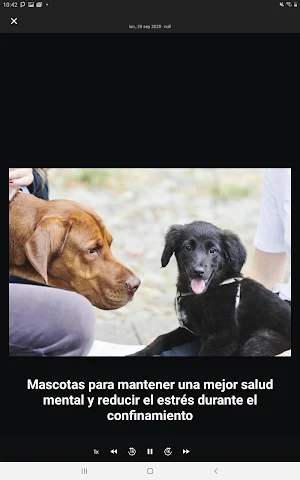 Editorial Televisa Screenshot 3