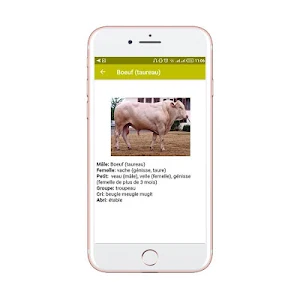 Femelle des animaux- Noms des  Screenshot 3