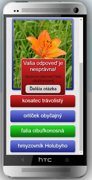 Žalostiná - Chvojnica Screenshot 2