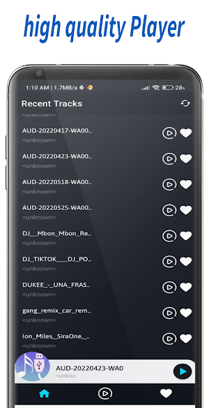 USB music Audio Player Screenshot 3