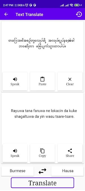 Burmese To Hausa Translator Screenshot 1