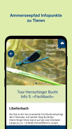 Region Ammersee Screenshot 3