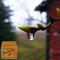 beautiful water drop wallpaper