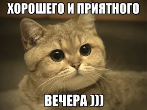 Добрый Вечер Screenshot 3