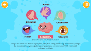 Sistem Indra Manusia Screenshot 1