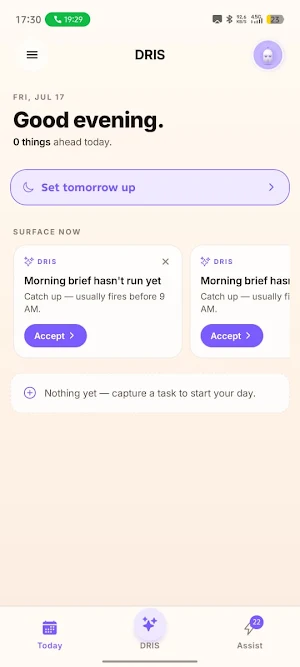 DRIS - Your AI Assistant Screenshot 2
