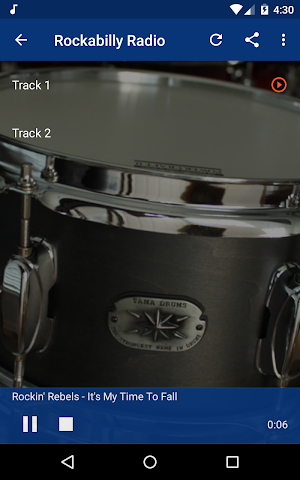 The Rockabilly Channel - Free Live Radios! Screenshot 2