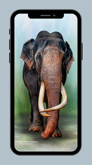 Wallpapers Gajah Hutan Screenshot 2