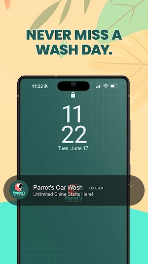 Parrot's Car Wash Screenshot 3