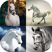 Horse Wallpapers 4K