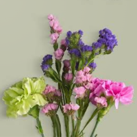 Beautiful Spring HD Wallpaper