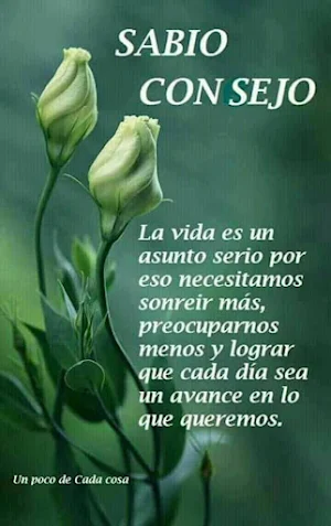 Reflexiones Hermosas de la Vida Screenshot 1