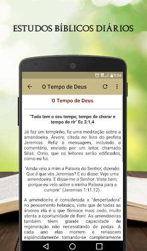 Estudos Bíblicos Diários Screenshot 1