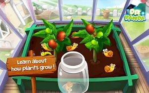 Dr. Panda Veggie Garden Screenshot 2